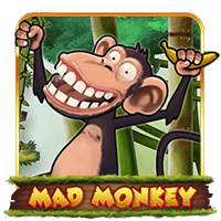 Mad Monkey